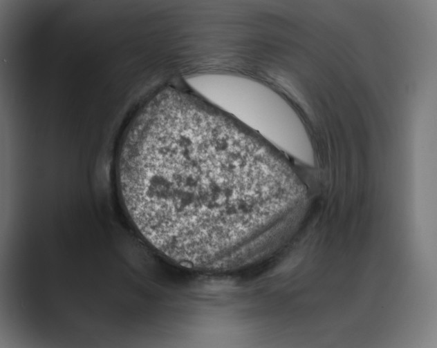 X0000088440491200706191255