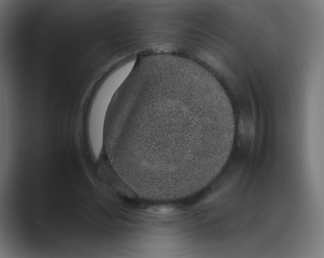 X0000088440492200706191255