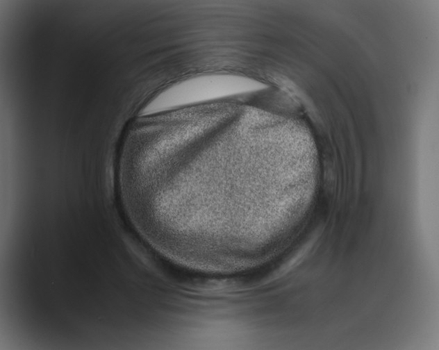 X0000088440493200706191255