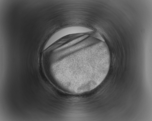 X0000088440494200706191255