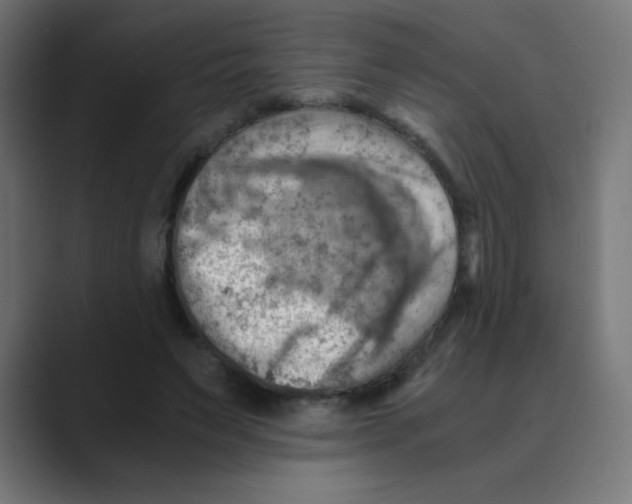 X0000088440495200706191255