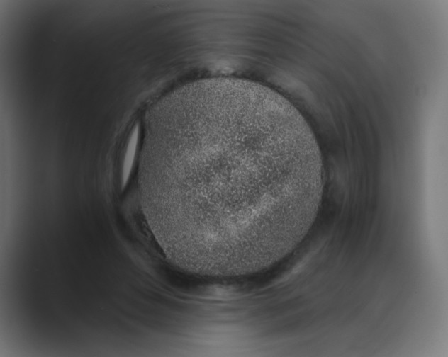 X0000088440496200706191255