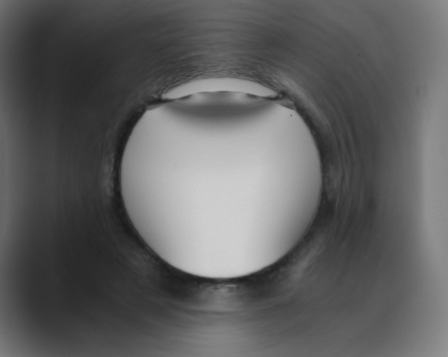 X0000088440497200706191255