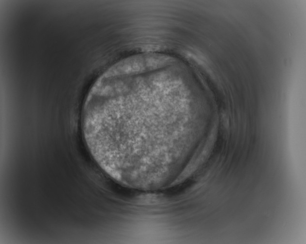 X0000088440499200706191255