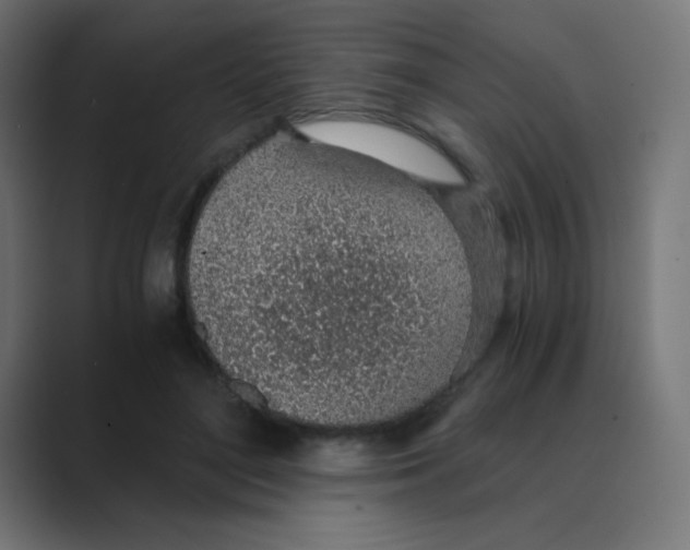 X0000088440500200706191255