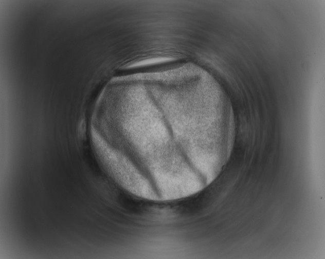 X0000088440502200706191255