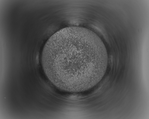 X0000088440504200706191255