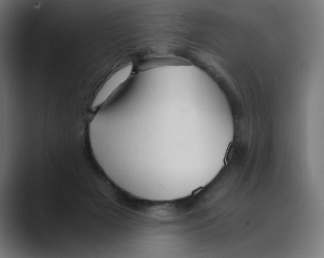 X0000088440505200706191255