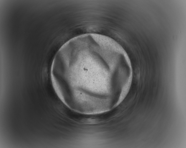 X0000088440506200706191255