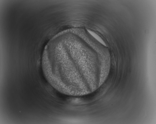 X0000088440507200706191255