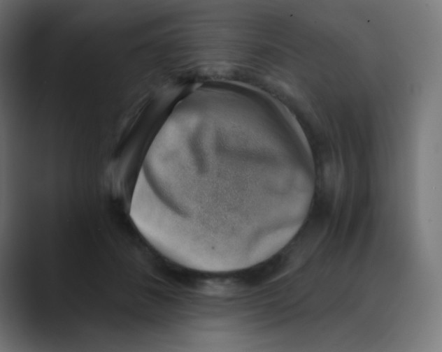 X0000088440508200706191255