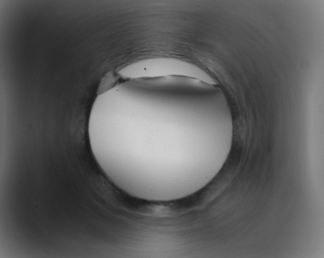 X0000088440509200706191255