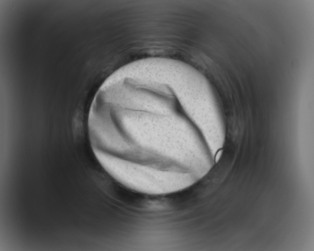 X0000088440510200706191255