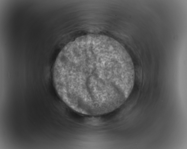 X0000088440511200706191255