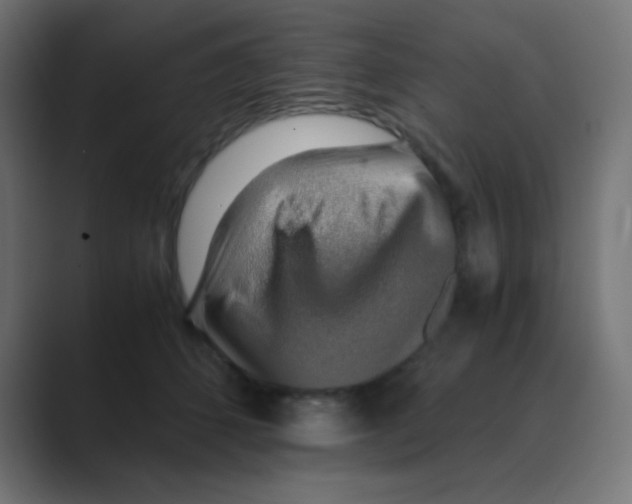 X0000088440512200706191255