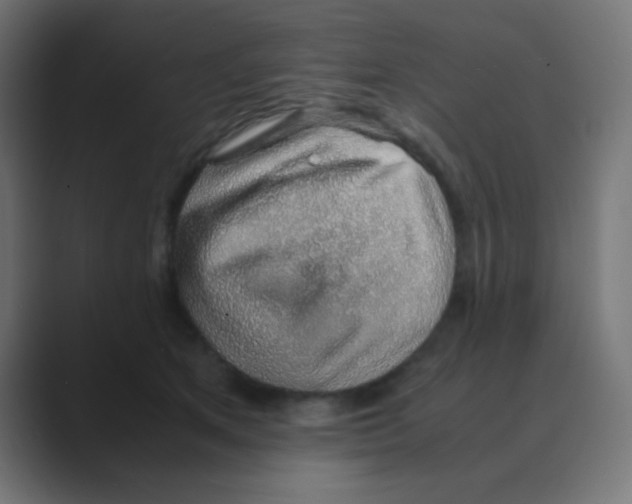 X0000088440513200706191255