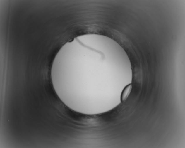 X0000088440514200706191255