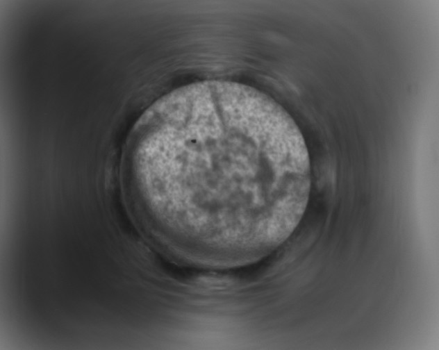 X0000088440515200706191255