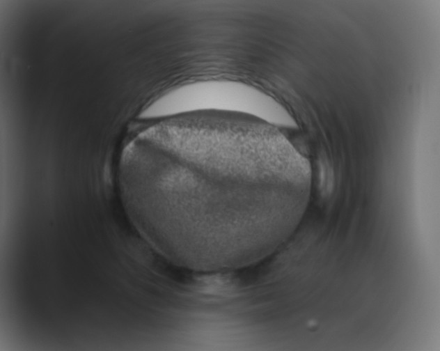 X0000088440516200706191255