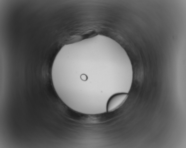 X0000088440518200706191255