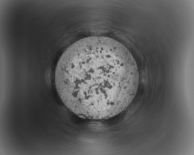 X0000088440519200706191255