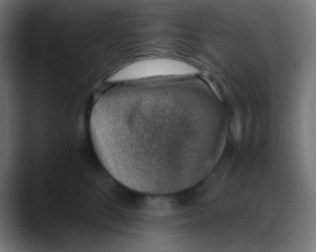 X0000088440520200706191255