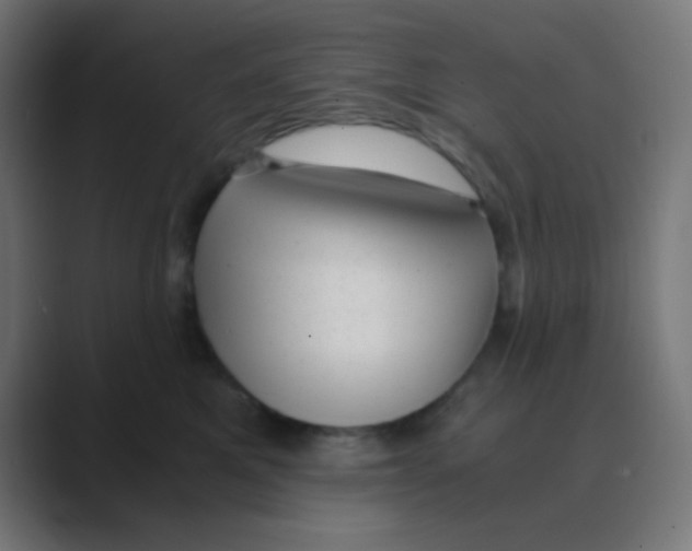 X0000088440521200706191255