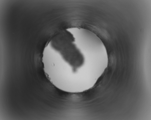 X0000088440522200706191255