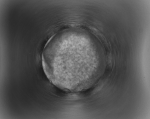 X0000088440523200706191255