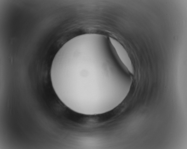 X0000088440525200706191255