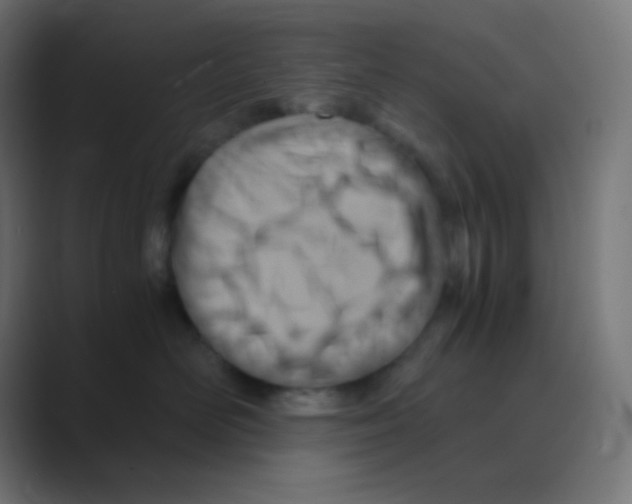 X0000088440526200706191255