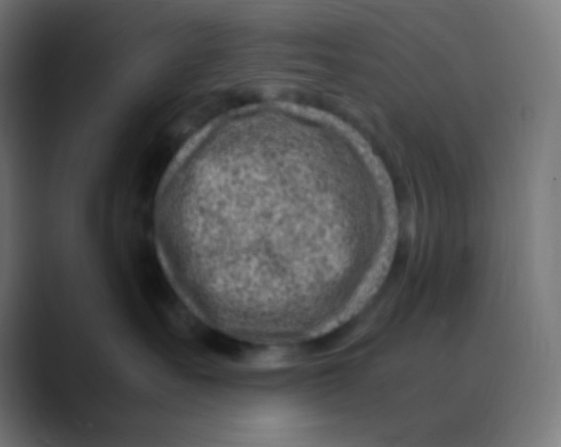 X0000088440527200706191255