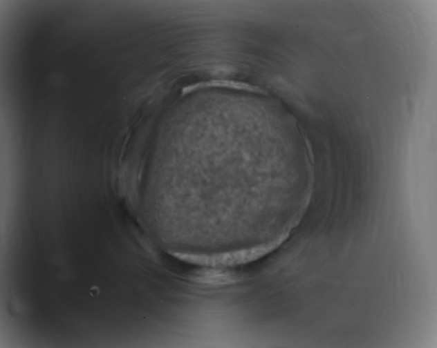 X0000088440528200706191255