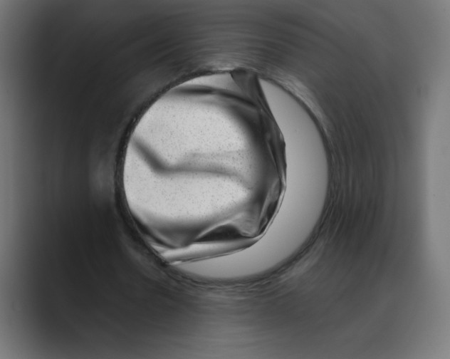 X0000088440530200706191254