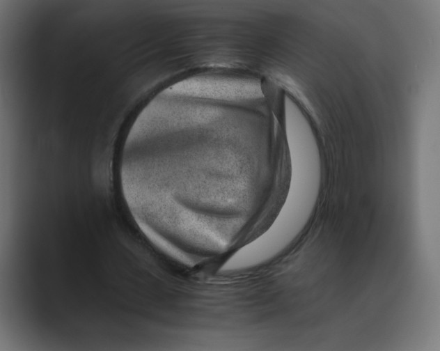 X0000088440531200706191254