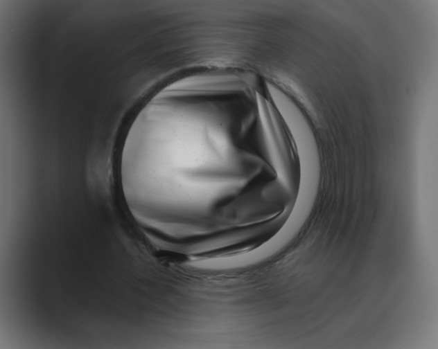 X0000088440532200706191254