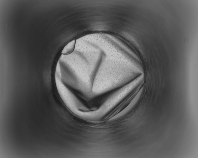 X0000088440535200706191254