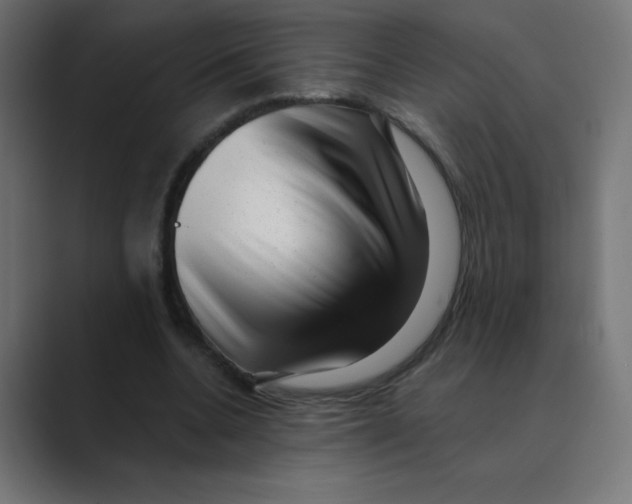 X0000088440536200706191254