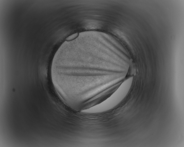 X0000088440539200706191254