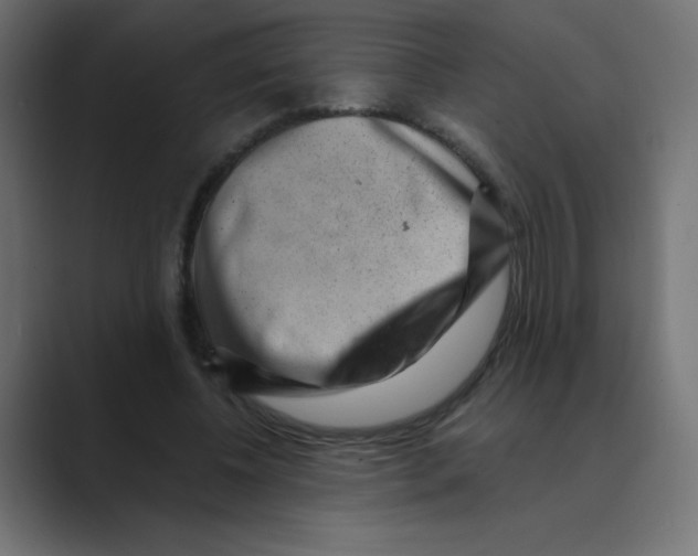 X0000088440540200706191254