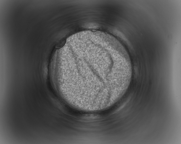 X0000088440541200706191254