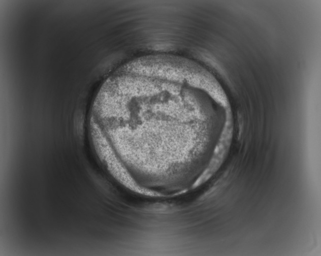 X0000088440542200706191254