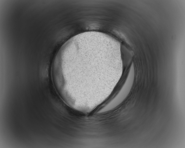 X0000088440543200706191254