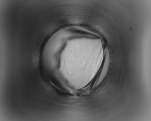 X0000088440544200706191254