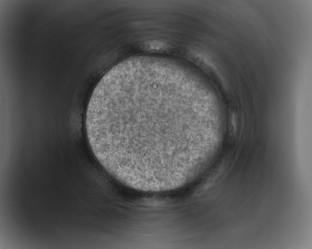 X0000088440545200706191254