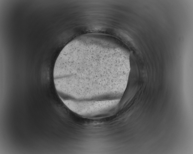 X0000088440546200706191254