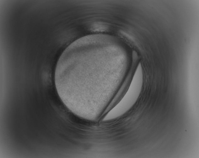 X0000088440547200706191254