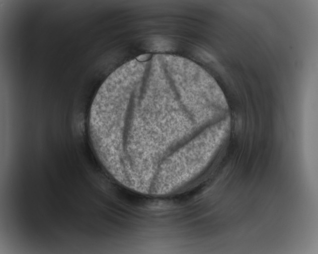 X0000088440549200706191254