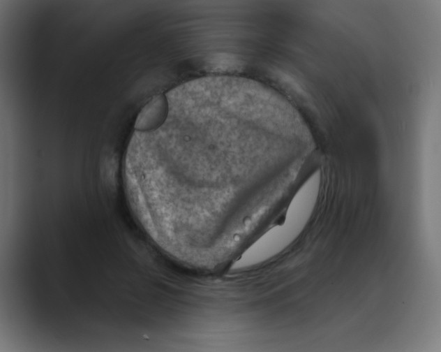 X0000088440550200706191254