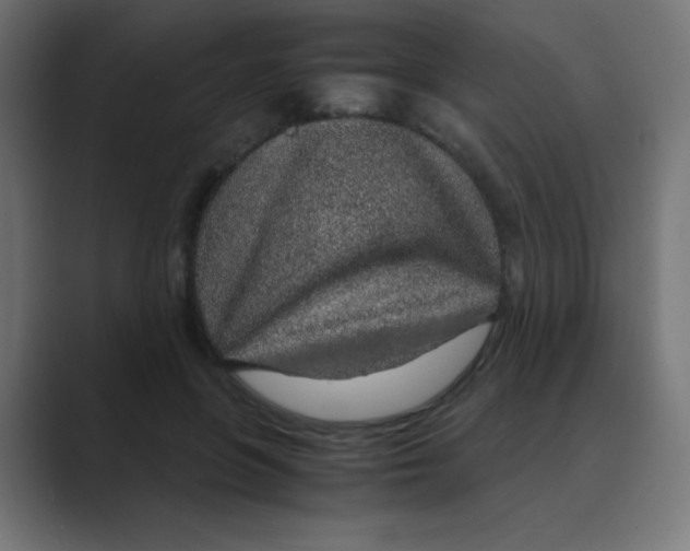 X0000088440551200706191254